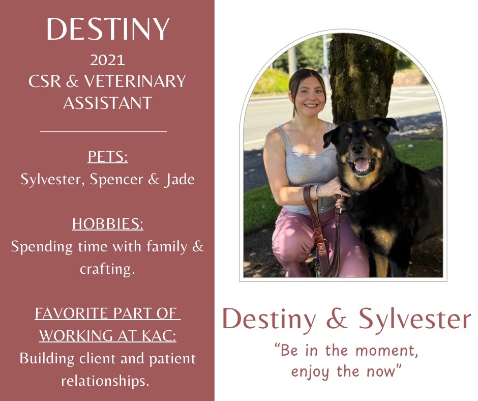 Destiny is a CSR and veterinary assistant who has been working at Kindness Animal Clinic since 2021. Her pets are Sylvester, Spencer, and Jade. Her hobbies are spending time with family and crafting. Her favorite part of working at Kindness Animal Clinic is Building client and patient relationships. There is a picture of Destiny and her dog Sylvester along with the quote Be in the moment, enjoy the now.
