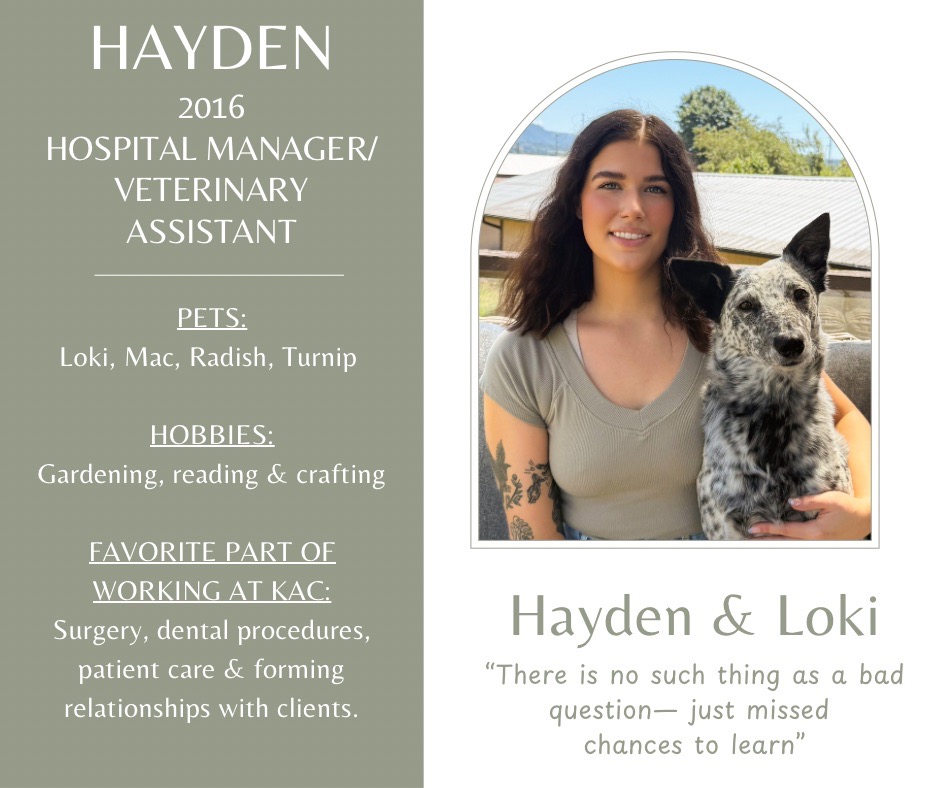 Hayden is a hospital manager/veterinary assistant and has been working at Kindness Animal Clinic since 2016. Her pets are Loki, Mac, Radish, and Turnip. Her hobbies are Gardening, reading, and crafting. She says her favorite part of working at Kindness Animal Clinic is Surgery, dental procedures, patient care and forming relationships with clients. There is a picture of Hayden and her dog Loki along with the quote There is no such thing as a bad question--just missed chances to learn.