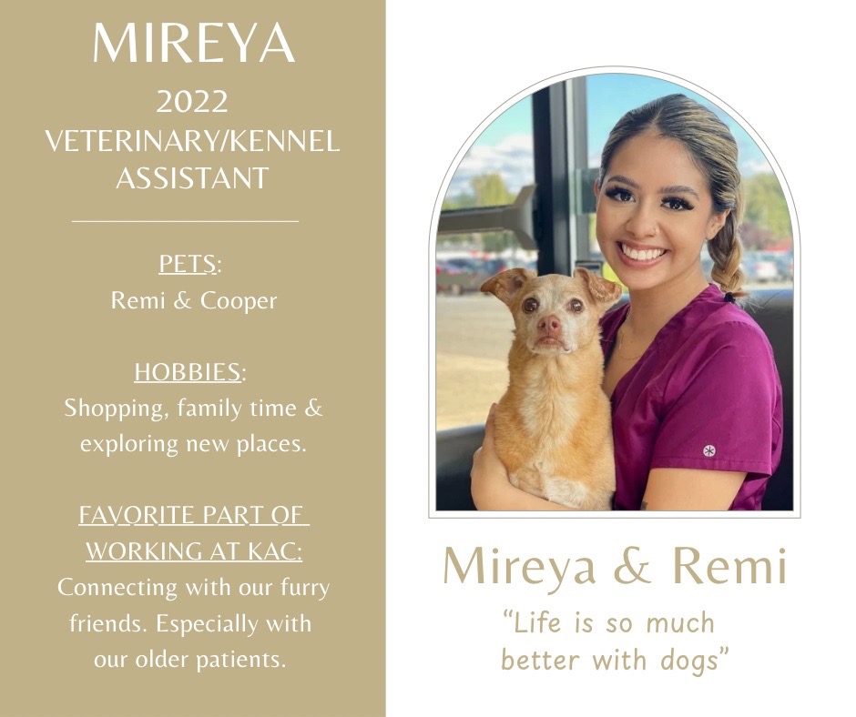 Mireya is a veterinary/kennel assistant who has been working at Kindness Animal Clinic since 2022. Her pets are Remi and Cooper. Her hobbies are shopping, family time, and exploring new places. She says her favorite part of working at Kindness Animal Clinic is Connecting with our furry friends. Especially with our older patients. There is a picture of Mireya with her dog Remi and the quote Life is so much better with dogs.
